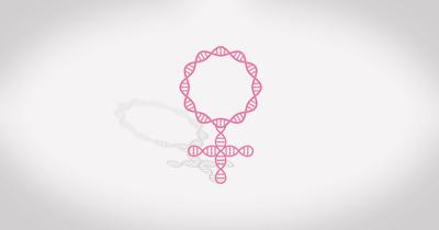 The International Olympic Committee is reinstating genetic testing for all female athletes competing in the 2028 Summer Olympics and future IOC events.