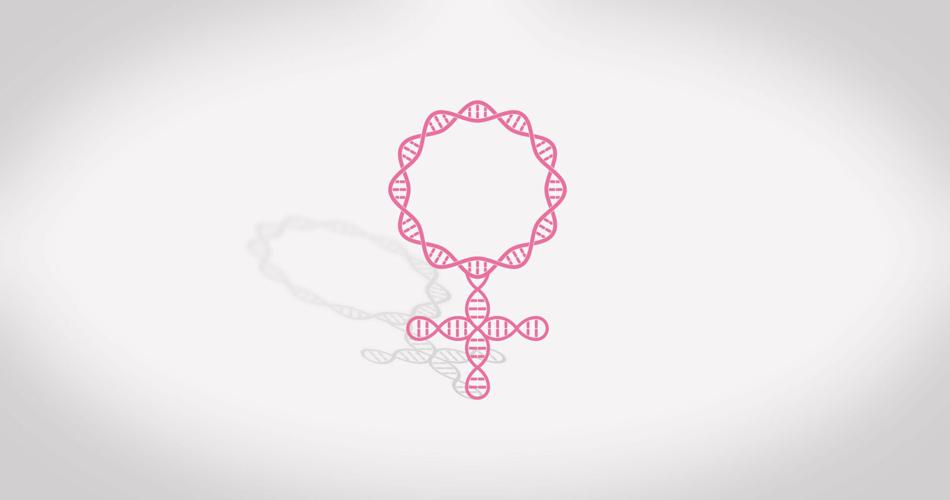 The International Olympic Committee is reinstating genetic testing for all female athletes competing in the 2028 Summer Olympics and future IOC events.