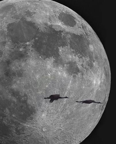 photo show - p10 - lunar flyover