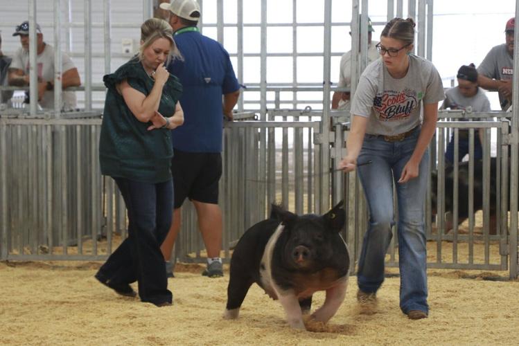 "Hard work pays off": Miss Scotts Bluff County Fair's Teen juggles pageant, fair, future in ag