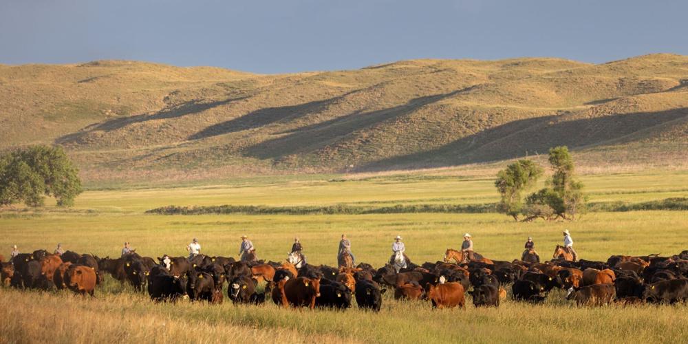 AgLand Mormon COPYRIGHT RESTRICTED, 11.29