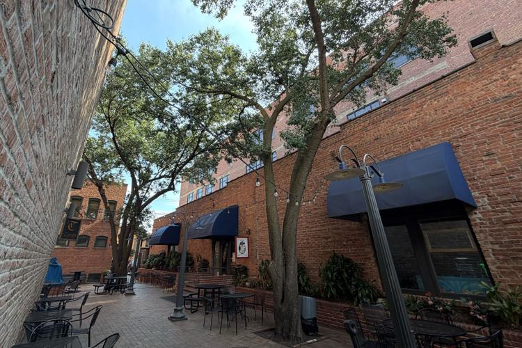 Haymarket Square Courtyard trees, 6.24