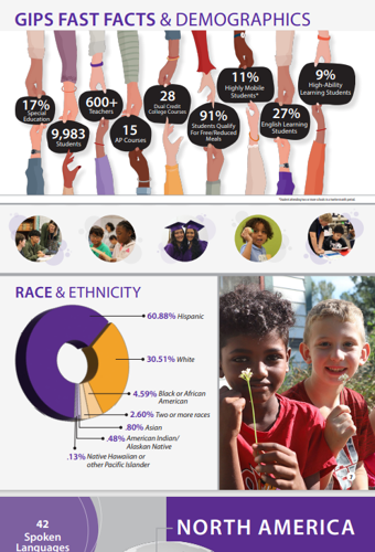 GIPS annual report 3