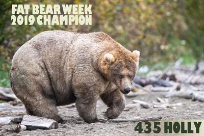 The holiday everyone needs right now is upon us: Fat Bear Week