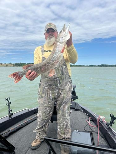 veterans honored - p2 - catch of the day