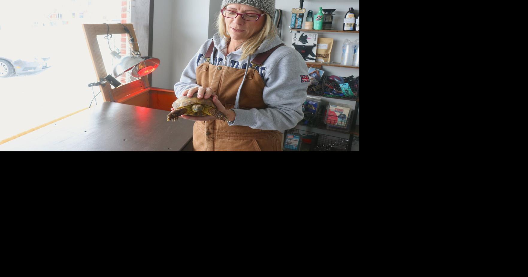 Despite overcrowding elsewhere, it’s business as usual at Saunders County Lost Pets