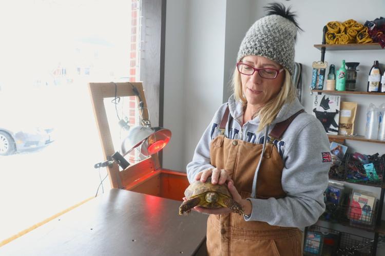 011224-wah-new-pets-p1