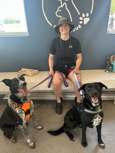 Arthur adopted