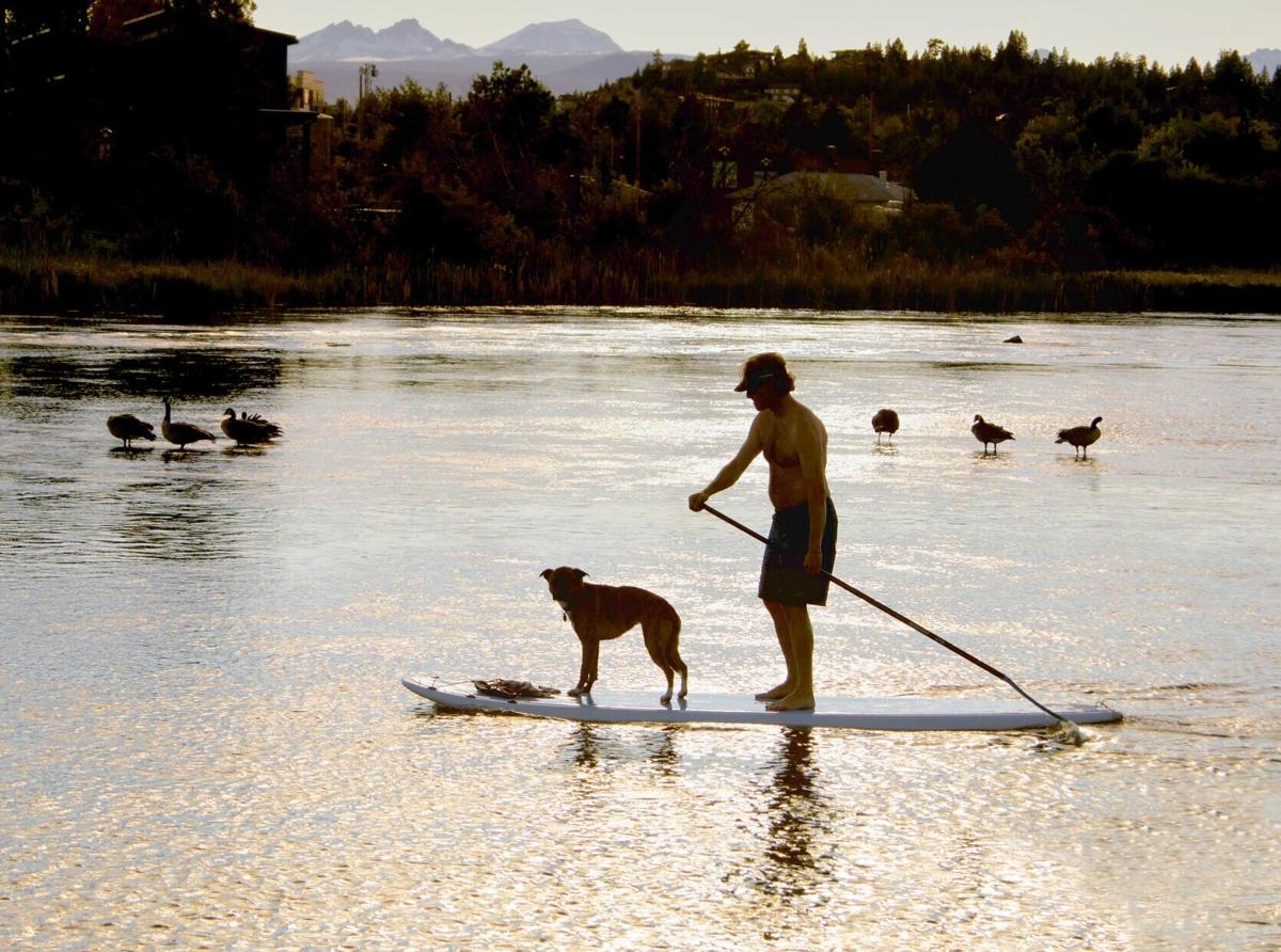 The silhouette of a man and his dog on a surf board, paddling along the Deschutes River at sunset, in Bend Oregon, a major tourist destination in Central Oregon, in the Cascade Mountains area, known for outdoor recreational activities.