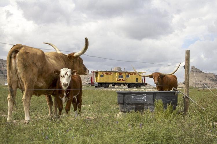 Historic caboose rolls into new home at Legacy of the Plains