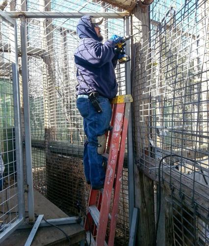 "It makes the job easier": The Lara family work together to support Riverside Discovery Center