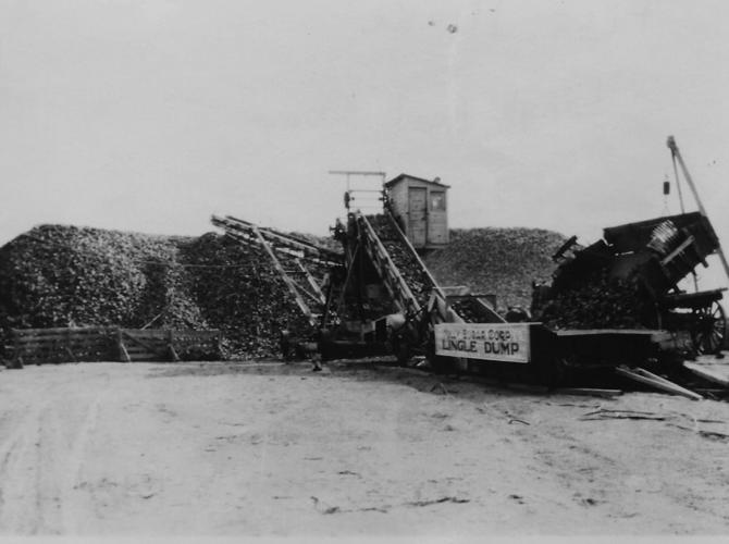 Agricultural roots create path to lifelong career