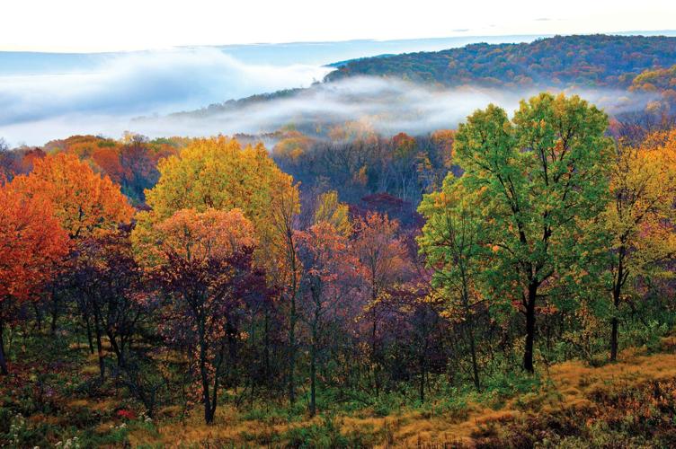 110523-owh-mom-fallcolors-p2