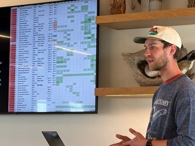 bird nerd - p4 - spreadsheet