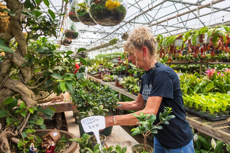 Oak Creek Plant Store, 5.19