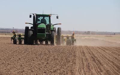 Sugar beet planting begins