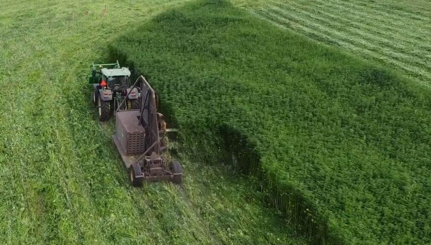 FiberCut in the field.jpg