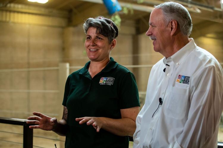 071422-owh-new-zooelephants-MN-07