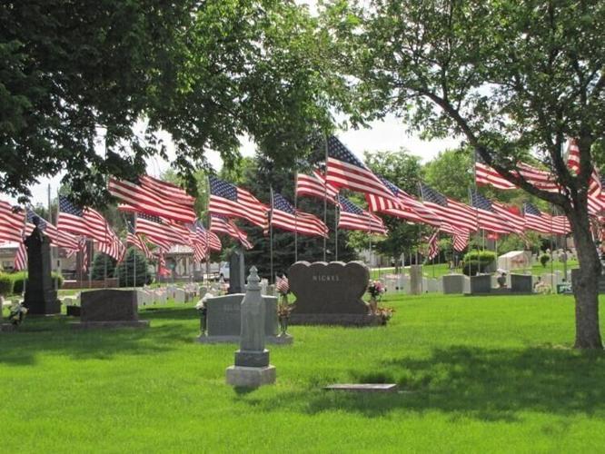 avenue of flags - p3 - patriotic picture