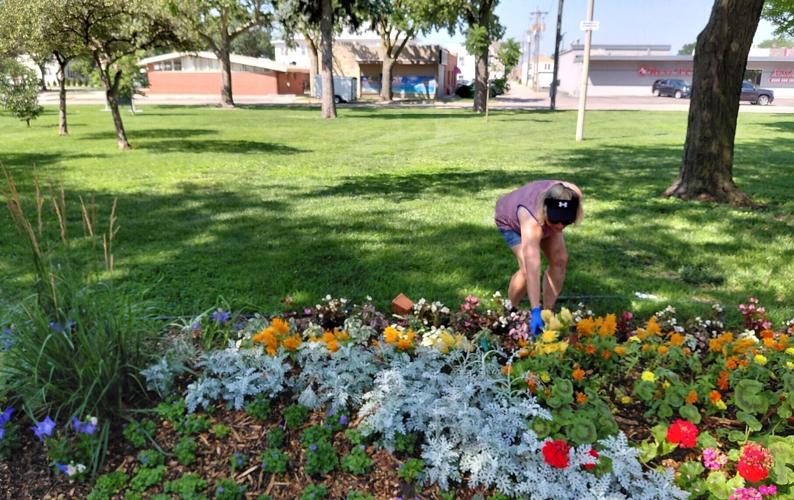 City horticulturalist 3.jpg