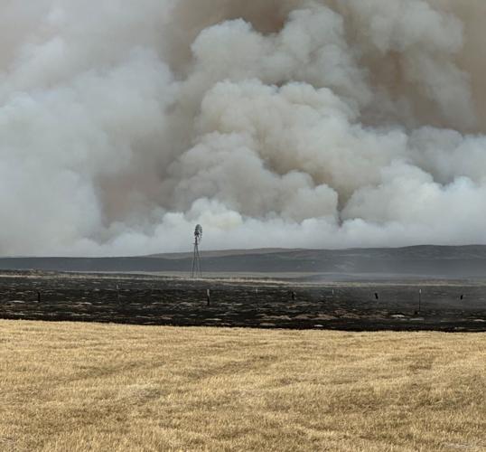 "There's nothing left to burn": Circle L Ranch, neighbors affected by Morrill Fire