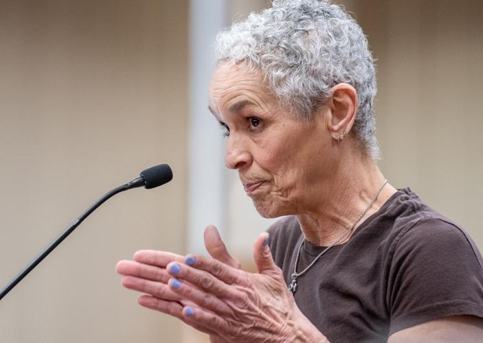 Wilderness Crossing protest, 2.13