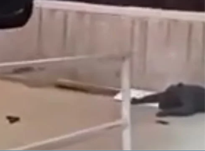 Officer involved shooting, 2.25