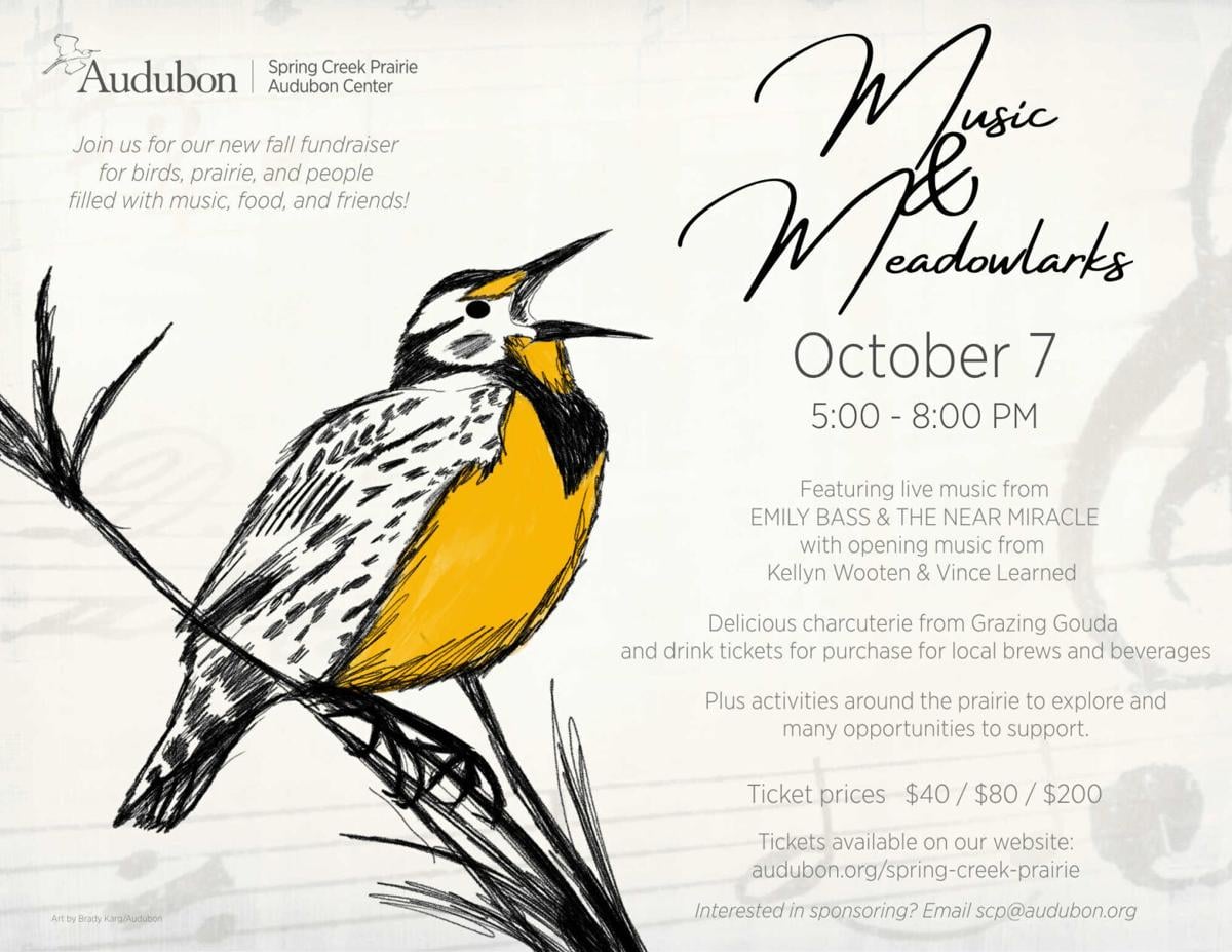 Music & Meadowlarks