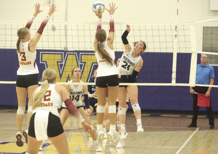 Izabella Lubischer(1).jpg