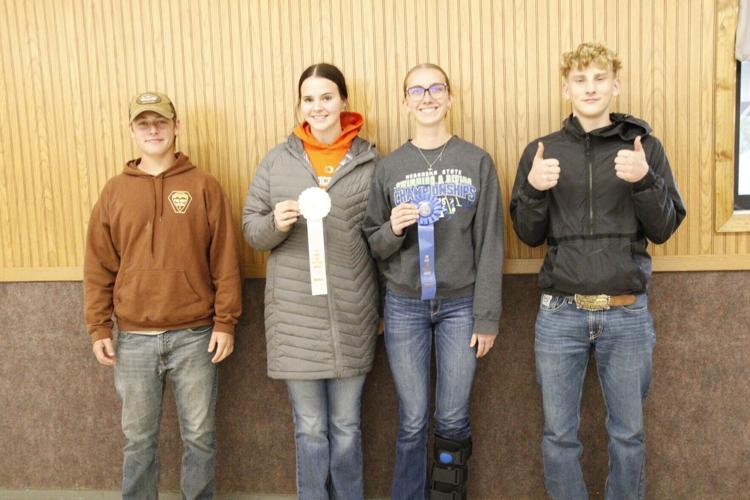 beatrice team