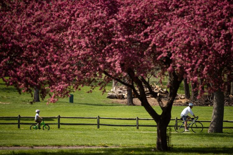 200426_new_parks_ar04