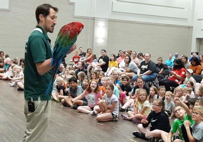 Wildlife Encounter