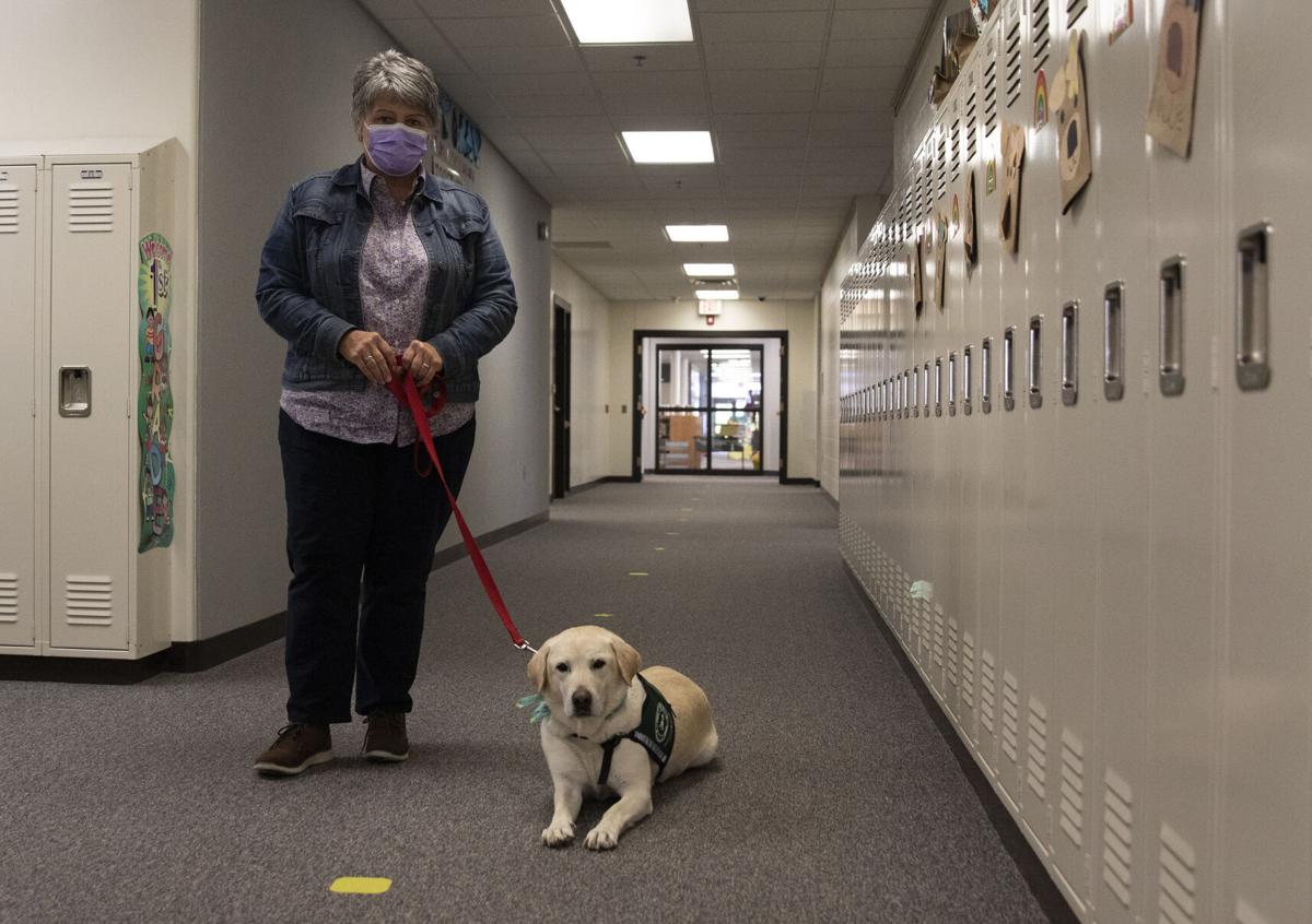 Eagle Therapy Dog 1
