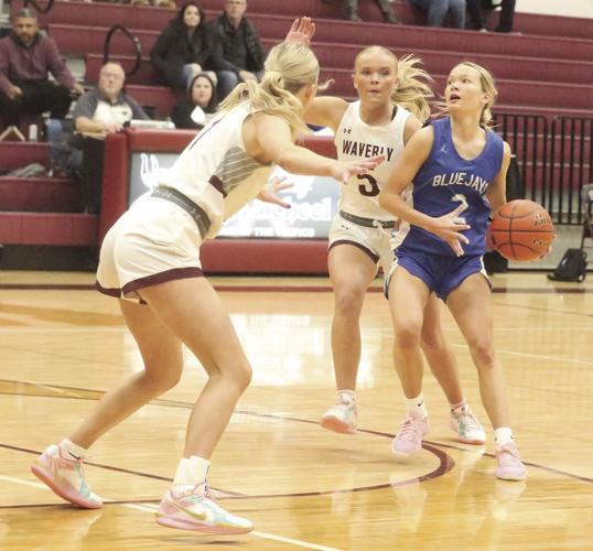 Jaycee Downing(1).jpg