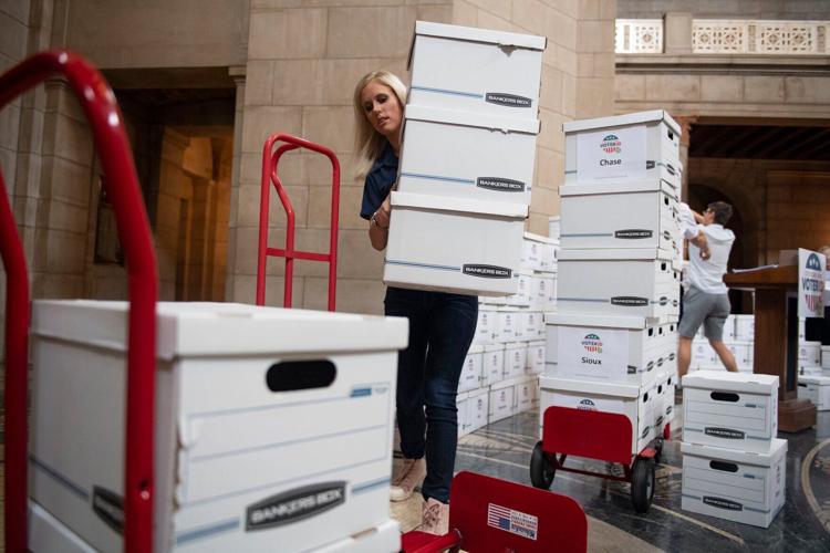 Voter ID petition, 7.7