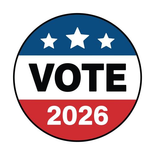 Election 2026 bug