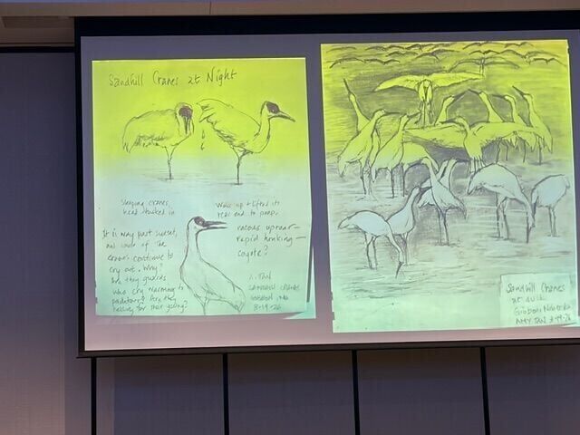 amy tan - p5 - amy's sketches