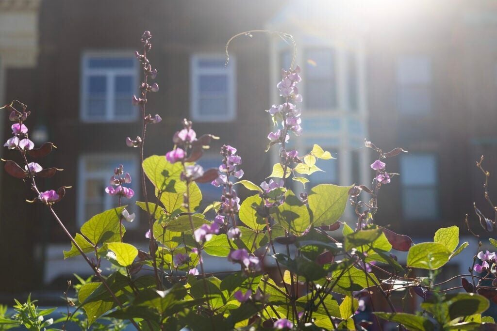 GardenersPhoto11
