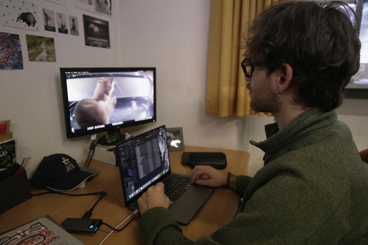 Milan Cortina Olympics Mascots