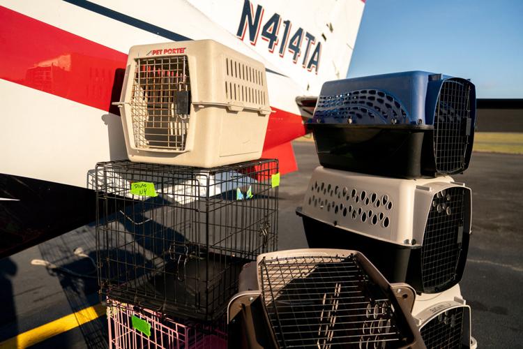 Pet Rescue Flights