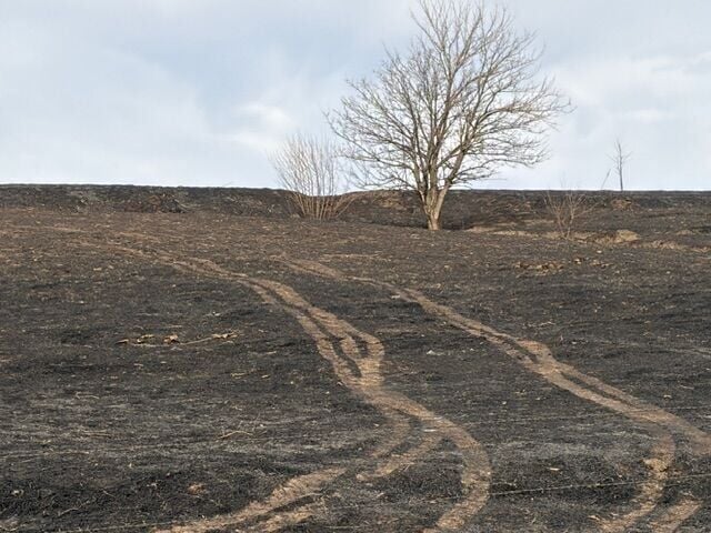 elm creek fire - p3 - scarred land