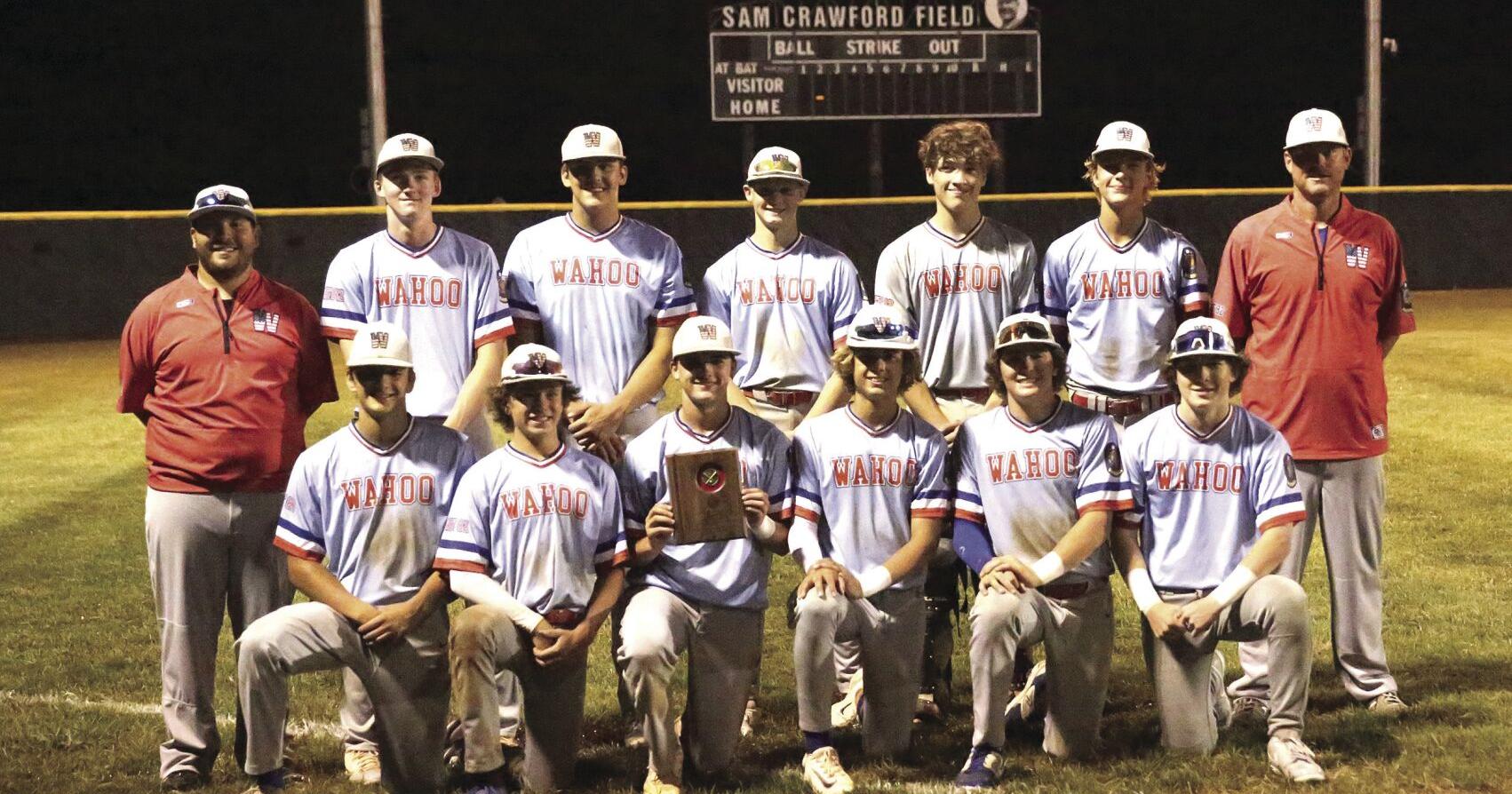 Solid pitching performances propels Blues to State Tournament - Vimarsana News