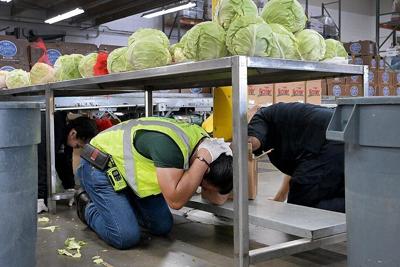 California's recent quakes show what falls off shelves, and how to secure your home