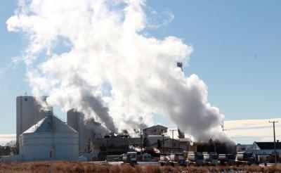 Announcements of mass layoffs point to closure of Torrington sugar factory