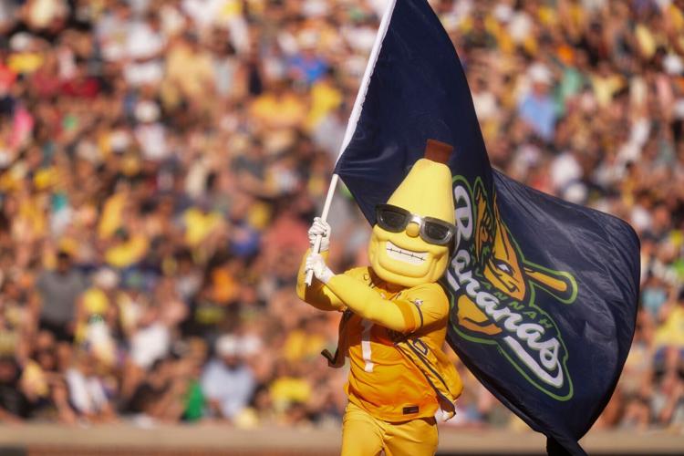 Split, the Savannah Bananas mascot runs onto the field during the pregame ceremonies of the Banana Ball game between the