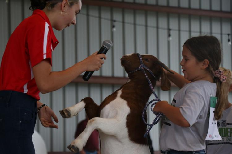 Fair preview