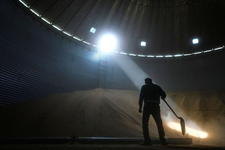 APTOPIX Soybean Farmers Tough Times