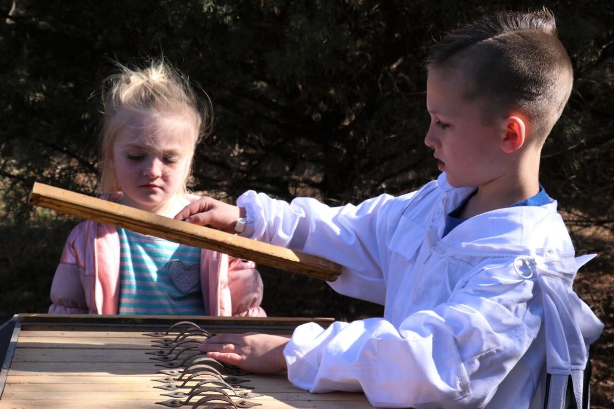 Braxton Bertsch Beekeeper