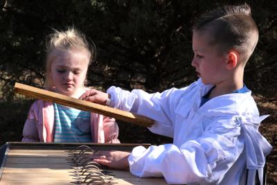 Braxton Bertsch Beekeeper