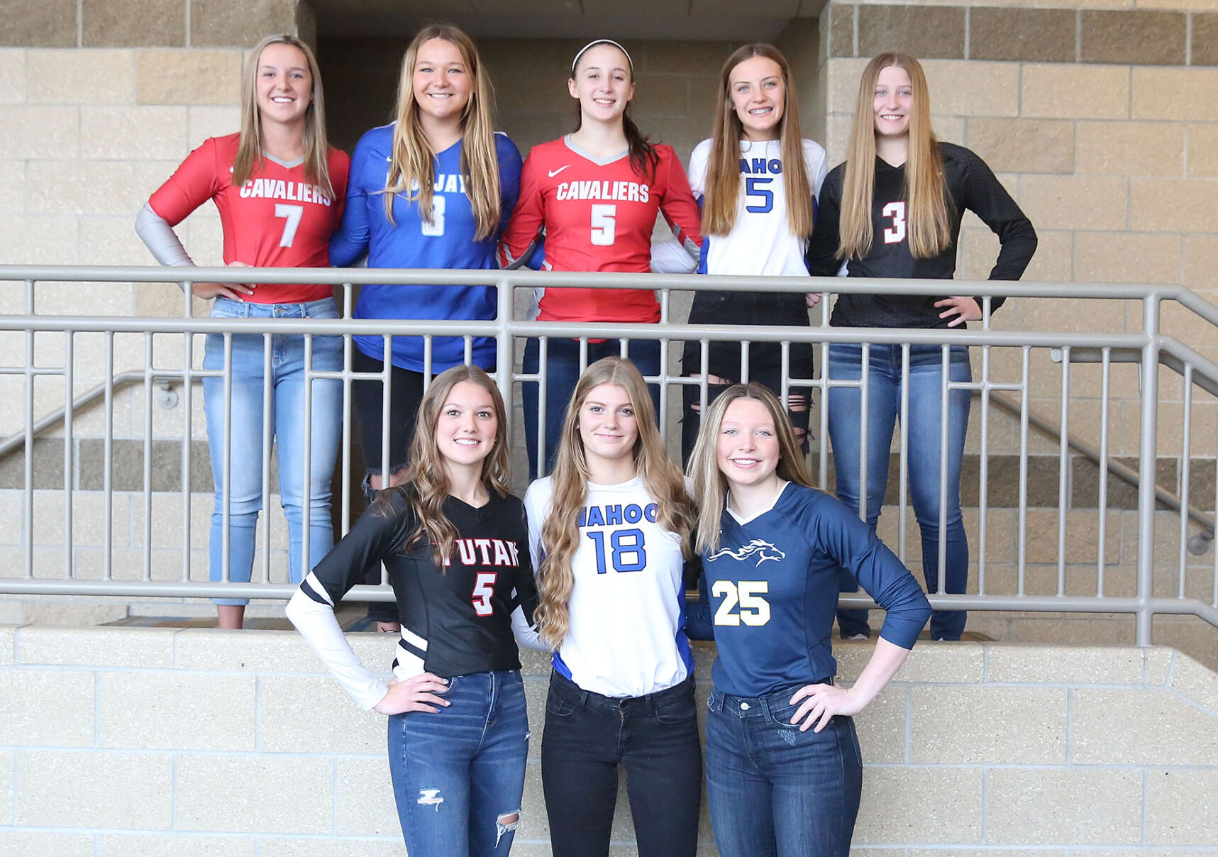 All-Area VB Team wv.jpg